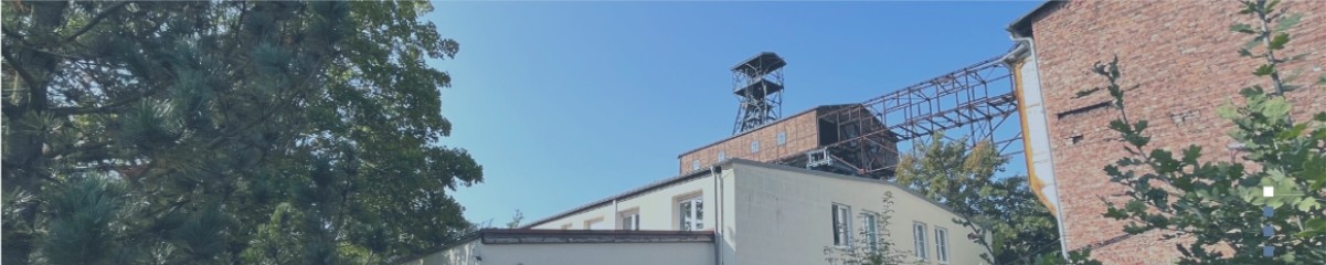 Institut für Gebirgsmechanik